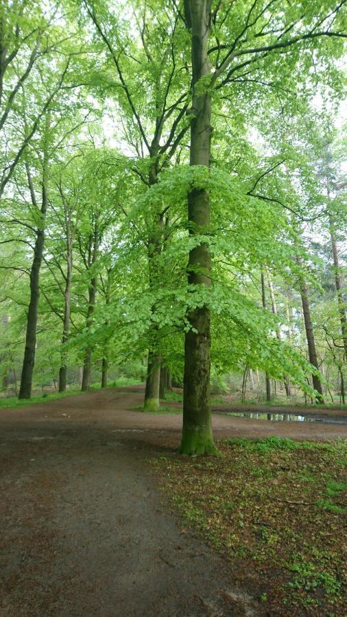 Overbosch Bilthoven Exterior photo